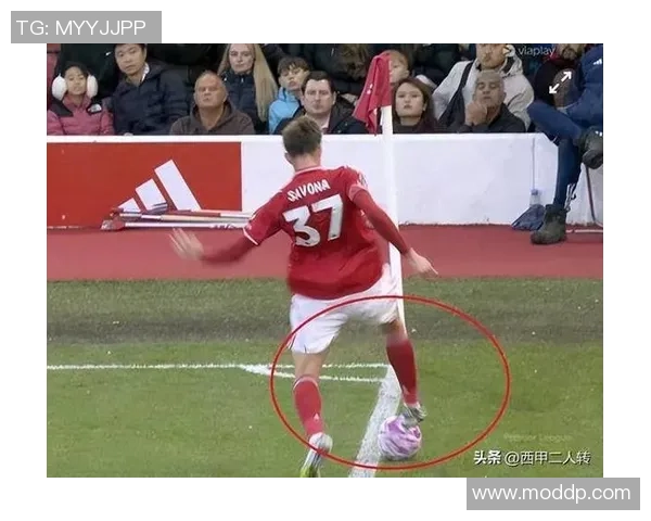 各界名流犀利点评足球明星表现引发热议与争议