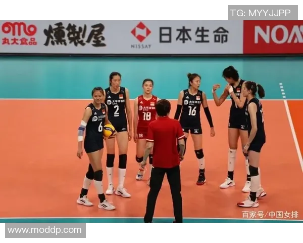 南京排球队与重庆排球队速度对比分析赛后复盘探讨