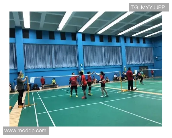 重庆羽毛球队与深圳羽毛球队赛后技术分析与战术复盘